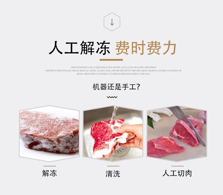 大型商用冻肉刨肉机砍牛油机刨整版冷冻肉片机器生产厂家(图5)