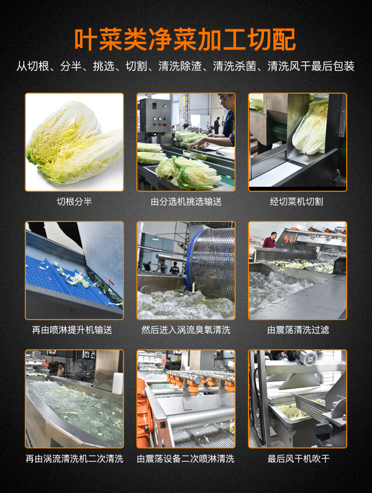 中央厨房果蔬加工流水线设备叶菜加工清洗整套机器(图8)